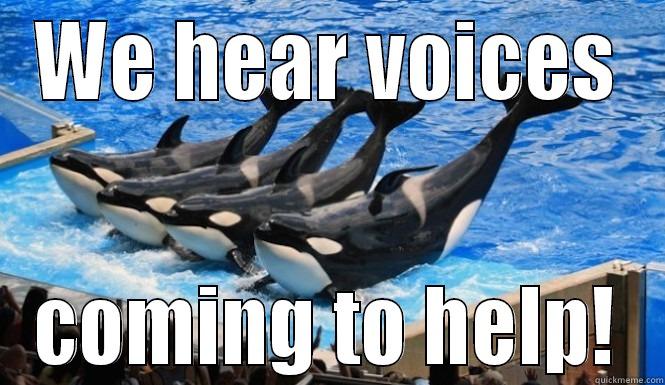 WE HEAR VOICES COMING TO HELP! Misc