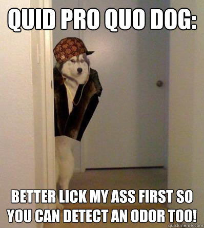 QUID PRO QUO DOG: BETTER LICK MY ASS FIRST SO YOU CAN DETECT AN ODOR TOO!  Scumbag dog