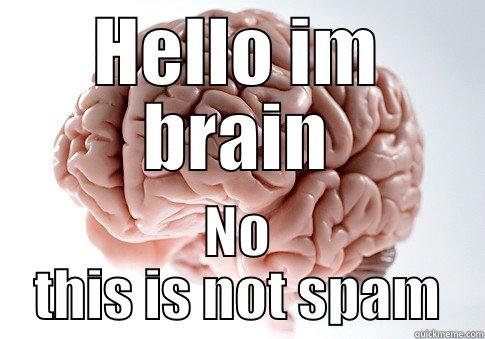 HELLO IM BRAIN NO THIS IS NOT SPAM Scumbag Brain