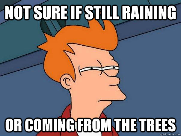 not sure if still raining or coming from the trees  Futurama Fry