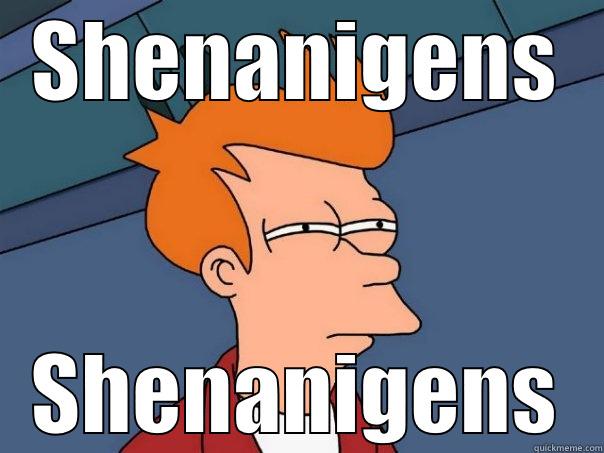 SHENANIGENS SHENANIGENS Futurama Fry