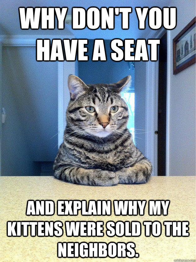 Why don't you have a seat and explain why my kittens were sold to the neighbors. - Why don't you have a seat and explain why my kittens were sold to the neighbors.  Chris Hansen Cat