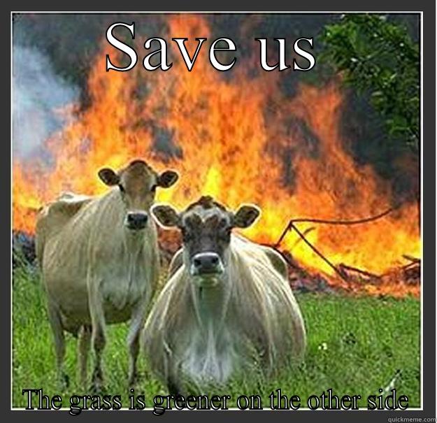 SAVE US THE GRASS IS GREENER ON THE OTHER SIDE Evil cows