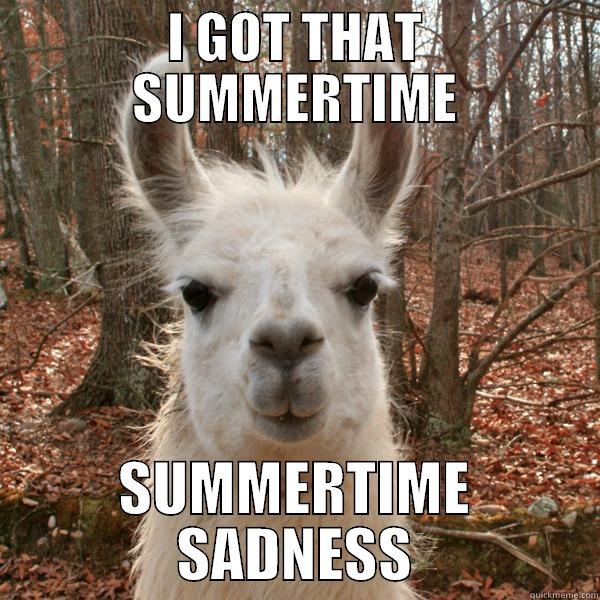 I GOT THAT SUMMERTIME SUMMERTIME SADNESS Misc