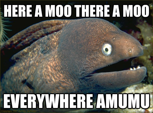 here a moo there a moo everywhere amumu  Bad Joke Eel