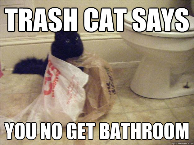 Trash Cat Says You no get bathroom  Trash Cat