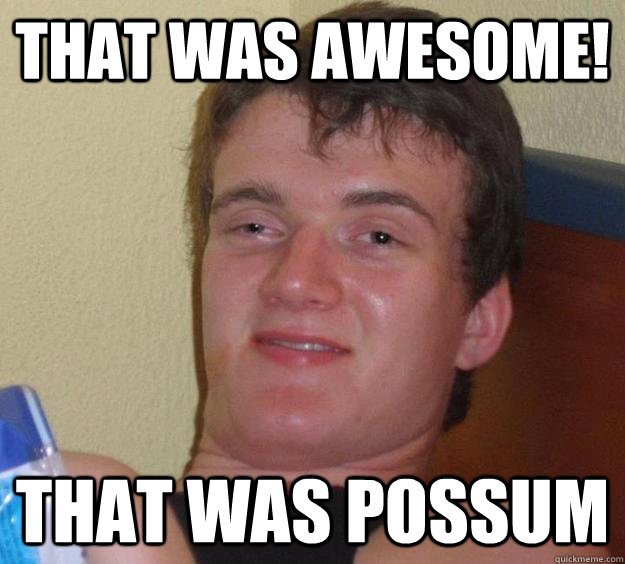 That was awesome! That was possum - That was awesome! That was possum  10 Guy