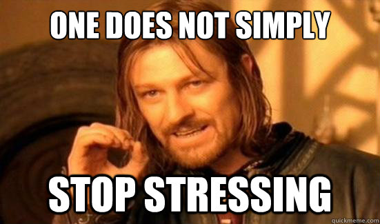 One Does Not Simply Stop Stressing  Boromir