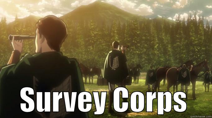  SURVEY CORPS Misc