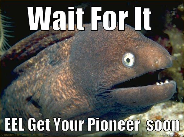 Waiting for Pioneer - WAIT FOR IT   EEL GET YOUR PIONEER  SOON Bad Joke Eel