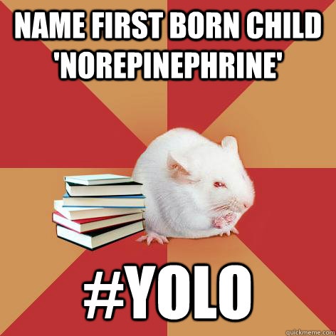 name first born child 'Norepinephrine'  #YOLO - name first born child 'Norepinephrine'  #YOLO  Science Major Mouse