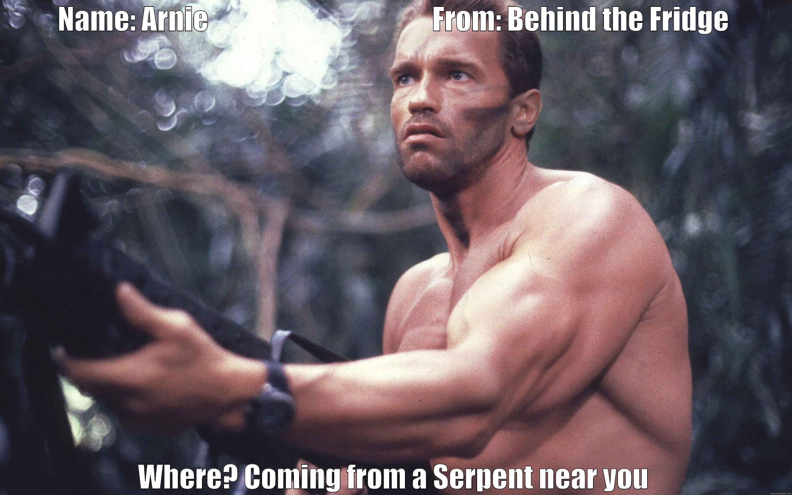 NAME: ARNIE                                         FROM: BEHIND THE FRIDGE WHERE? COMING FROM A SERPENT NEAR YOU Misc