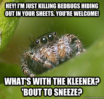 Hey! I'm just killing bedbugs hiding out in your sheets. You're welcome! What's with the kleenex? 'bout to sneeze?  Misunderstood Spider