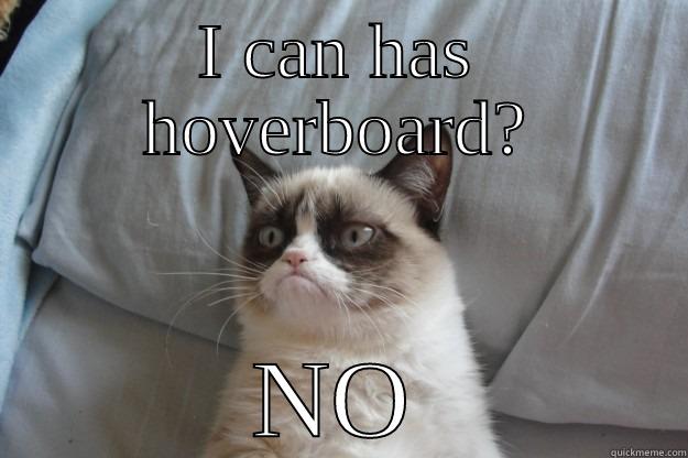 I CAN HAS HOVERBOARD? NO Grumpy Cat