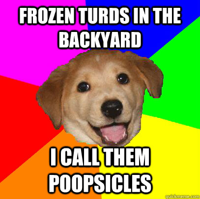 Frozen turds in the backyard I call them poopsicles  Advice Dog