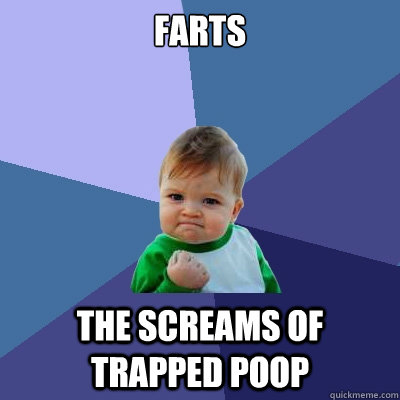 farts the screams of trapped poop  Success Kid