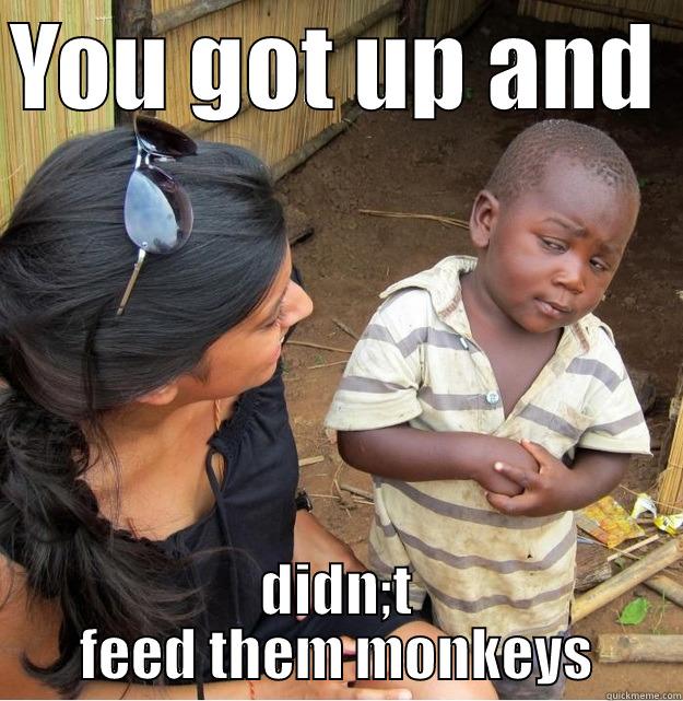 YOU GOT UP AND  DIDN;T FEED THEM MONKEYS Skeptical Third World Kid