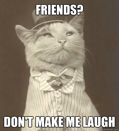 FRIENDS? DON'T MAKE ME LAUGH  Aristocat