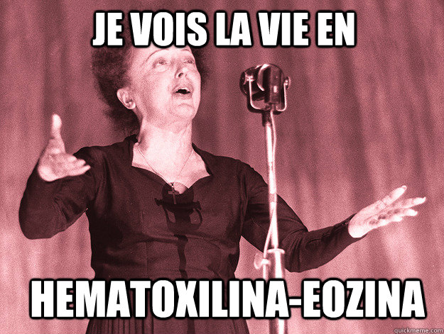 Je vois la vie en HEMATOXILINA-EOZINA  Edith Piaf