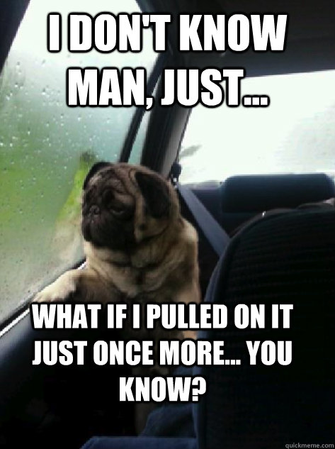 I don't know man, just... What if i pulled on it just once more... You know?  Introspective Pug