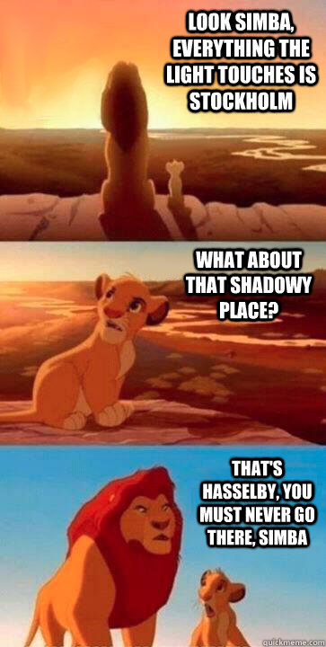 look simba, everything the light touches is Stockholm what about that shadowy place? that's Hasselby, you must never go there, simba - look simba, everything the light touches is Stockholm what about that shadowy place? that's Hasselby, you must never go there, simba  SIMBA