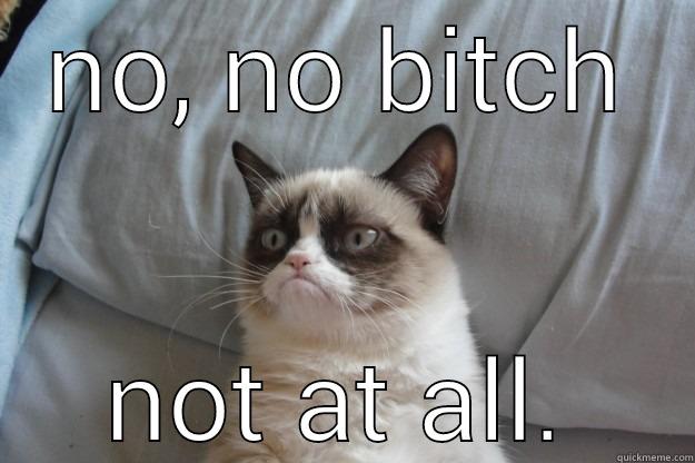 NO, NO BITCH NOT AT ALL. Grumpy Cat