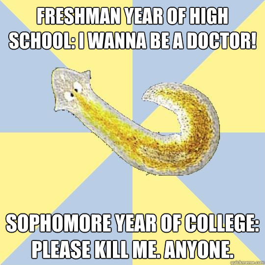 Freshman year of high school: I wanna be a doctor! Sophomore year of college: Please kill me. Anyone.  Bio Major Planarian