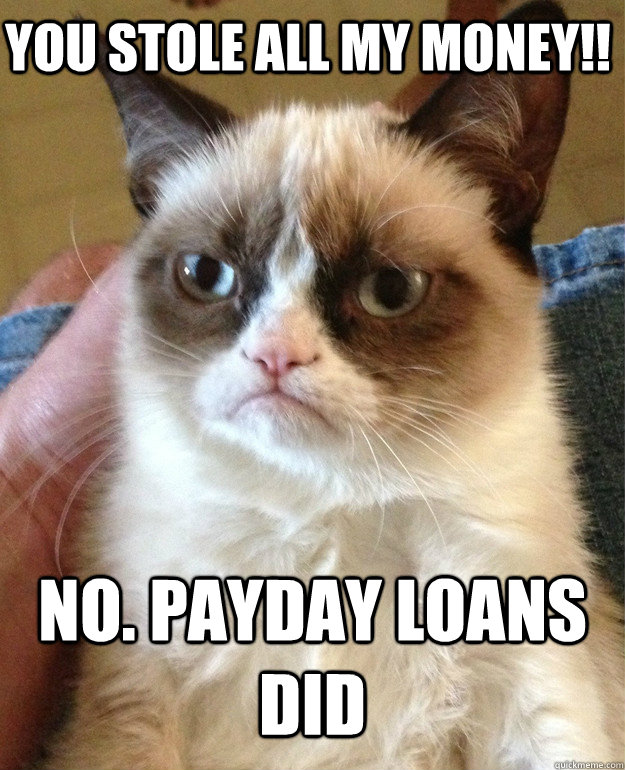 NO. PAYDAY LOANS DID YOU STOLE ALL MY MONEY!!  Angry Cat