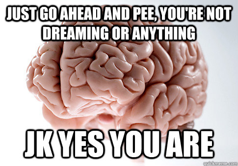 Just go ahead and pee, you're not dreaming or anything Jk yes you are - Just go ahead and pee, you're not dreaming or anything Jk yes you are  Scumbag Brain