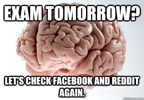 Exam tomorrow? let's check facebook and reddit again.  Scumbag Brain