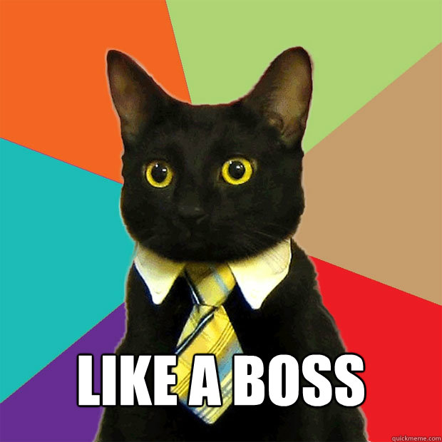 LIKE A BOSS  Business Cat