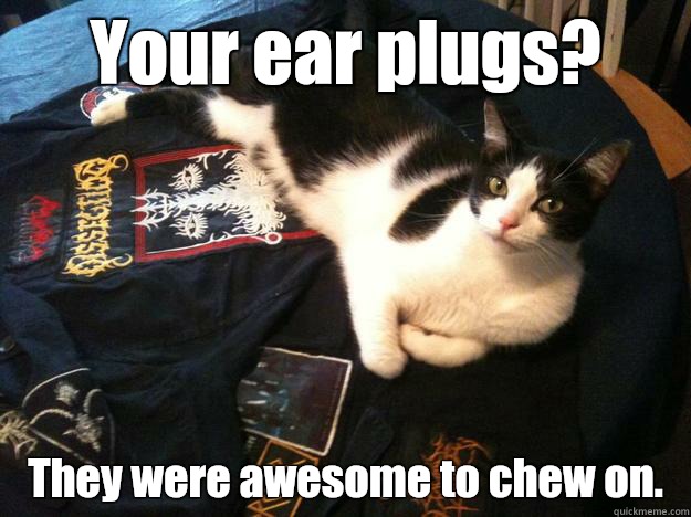 Your ear plugs? They were awesome to chew on.  