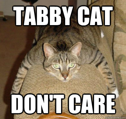 Tabby Cat Don't Care  