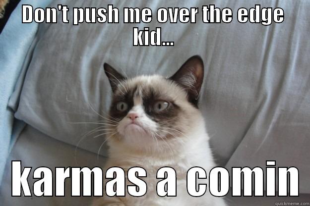 Over the edge - DON'T PUSH ME OVER THE EDGE KID...   KARMAS A COMIN Grumpy Cat