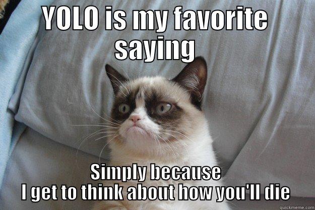 YOLO IS MY FAVORITE SAYING SIMPLY BECAUSE I GET TO THINK ABOUT HOW YOU'LL DIE Grumpy Cat