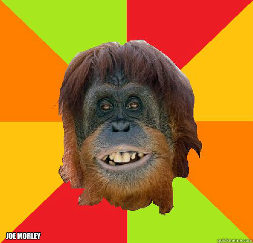  JOE MORLEY  Culturally Oblivious Orangutan