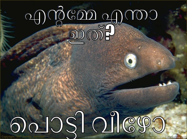 എന്റമ്മേ എന്താ ഇത്? പൊട്ടി വീഴോ  Bad Joke Eel