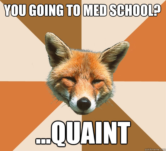 you going to med school?
 ...quaint  Condescending Fox