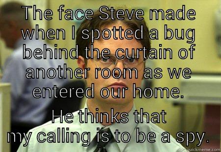 THE FACE STEVE MADE WHEN I SPOTTED A BUG BEHIND THE CURTAIN OF ANOTHER ROOM AS WE ENTERED OUR HOME. HE THINKS THAT MY CALLING IS TO BE A SPY. Schrute