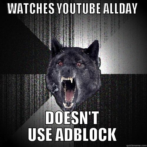 WATCHES YOUTUBE ALLDAY DOESN'T USE ADBLOCK Insanity Wolf