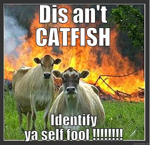 That weirdo stalking you on FB - DIS AN'T CATFISH IDENTIFY YA SELF FOOL !!!!!!!! Evil cows