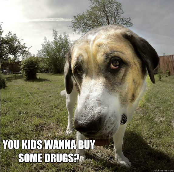 you kids wanna buy some drugs? - you kids wanna buy some drugs?  drug dog