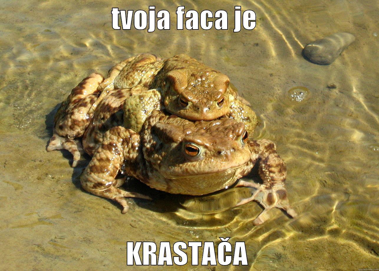 TVOJA FACA JE  KRASTAČA Misc