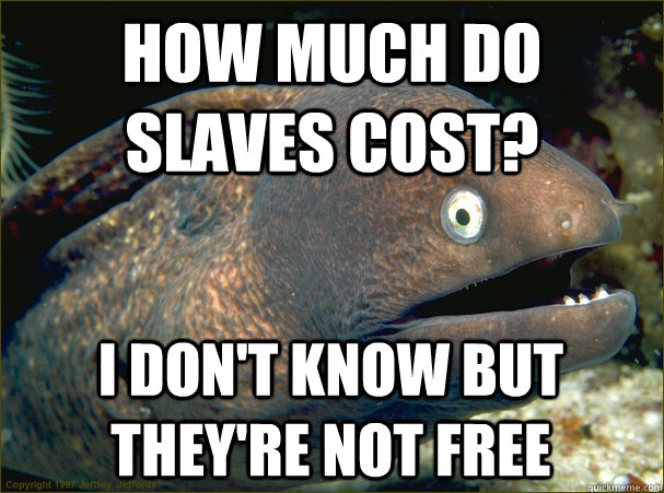 How much do slaves cost? I don't know but they're not free  Bad Joke Eel