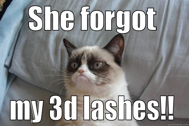 SHE FORGOT MY 3D LASHES!! Grumpy Cat