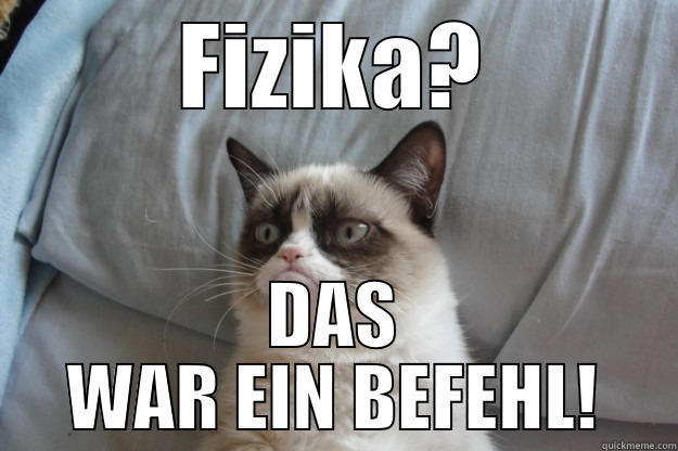 FIZIKA? DAS WAR EIN BEFEHL! Grumpy Cat