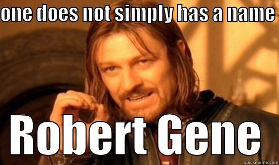 ONE DOES NOT SIMPLY HAS A NAME ROBERT GENE Boromir