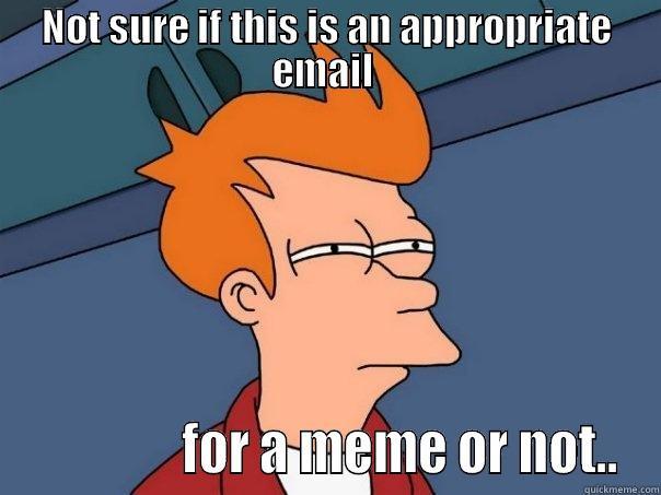 fry meme - NOT SURE IF THIS IS AN APPROPRIATE EMAIL                 FOR A MEME OR NOT.. Futurama Fry