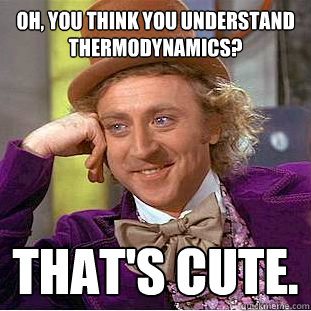 Oh, you think you UNDERSTAND thermodynamics? That's cute.  - Oh, you think you UNDERSTAND thermodynamics? That's cute.   Condescending Wonka