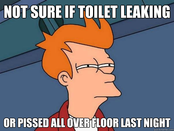 Not sure if toilet leaking Or pissed all over floor last night  Futurama Fry